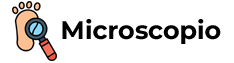 microscopio new